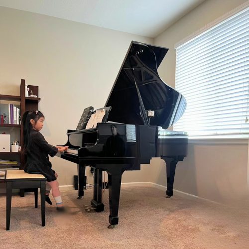 2539fd11143973d64088cef3ba4f2914